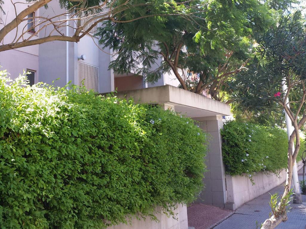 Bed & Breakfast Mareya 2*